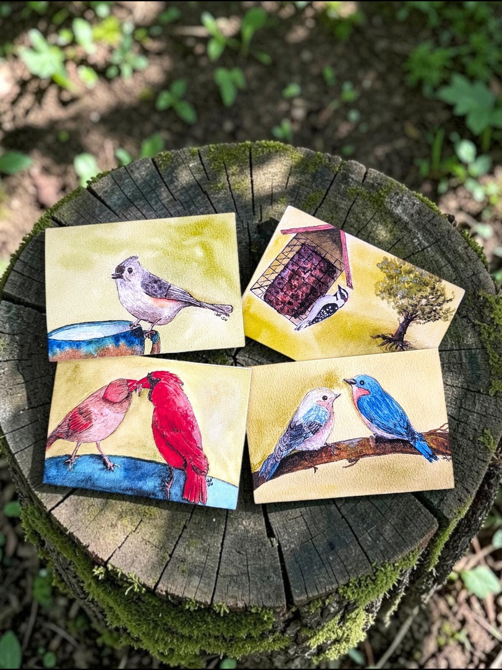 Bird Art Greeting Cards Set - Assorted Colorful Bird Illustrations